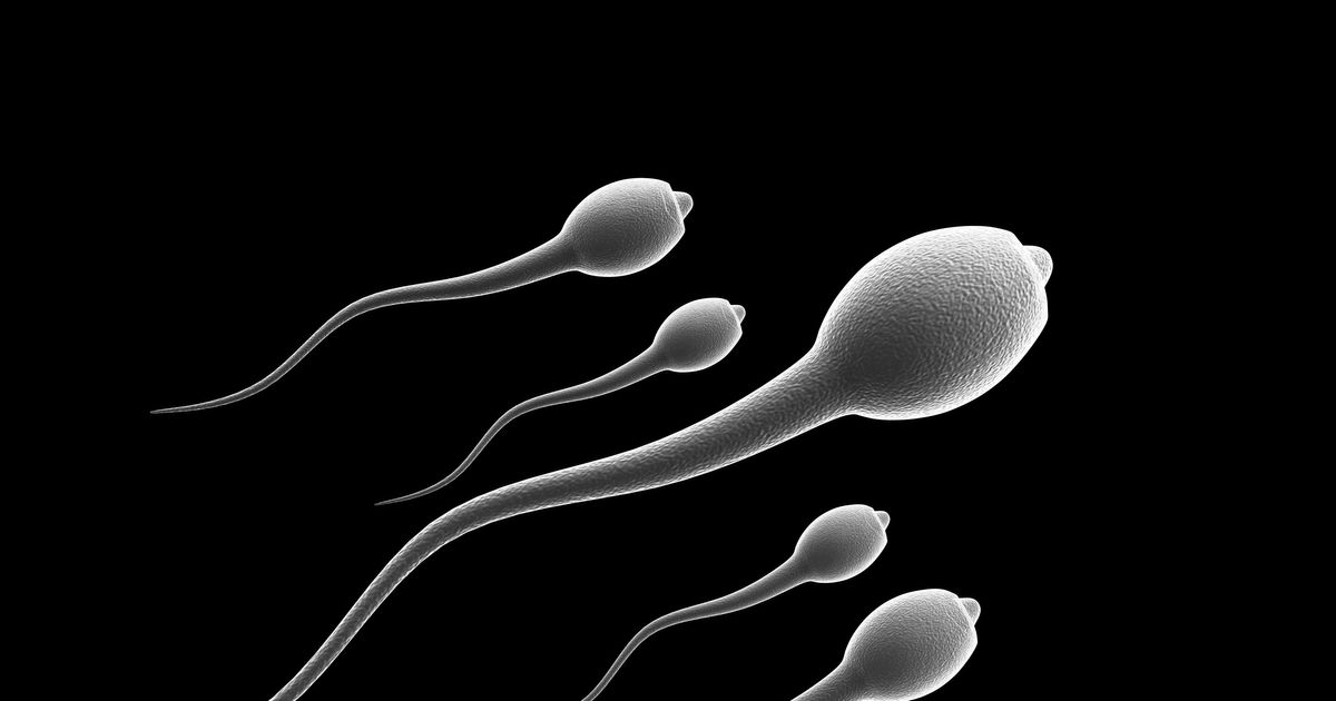 Sexy babysitter get sperm image