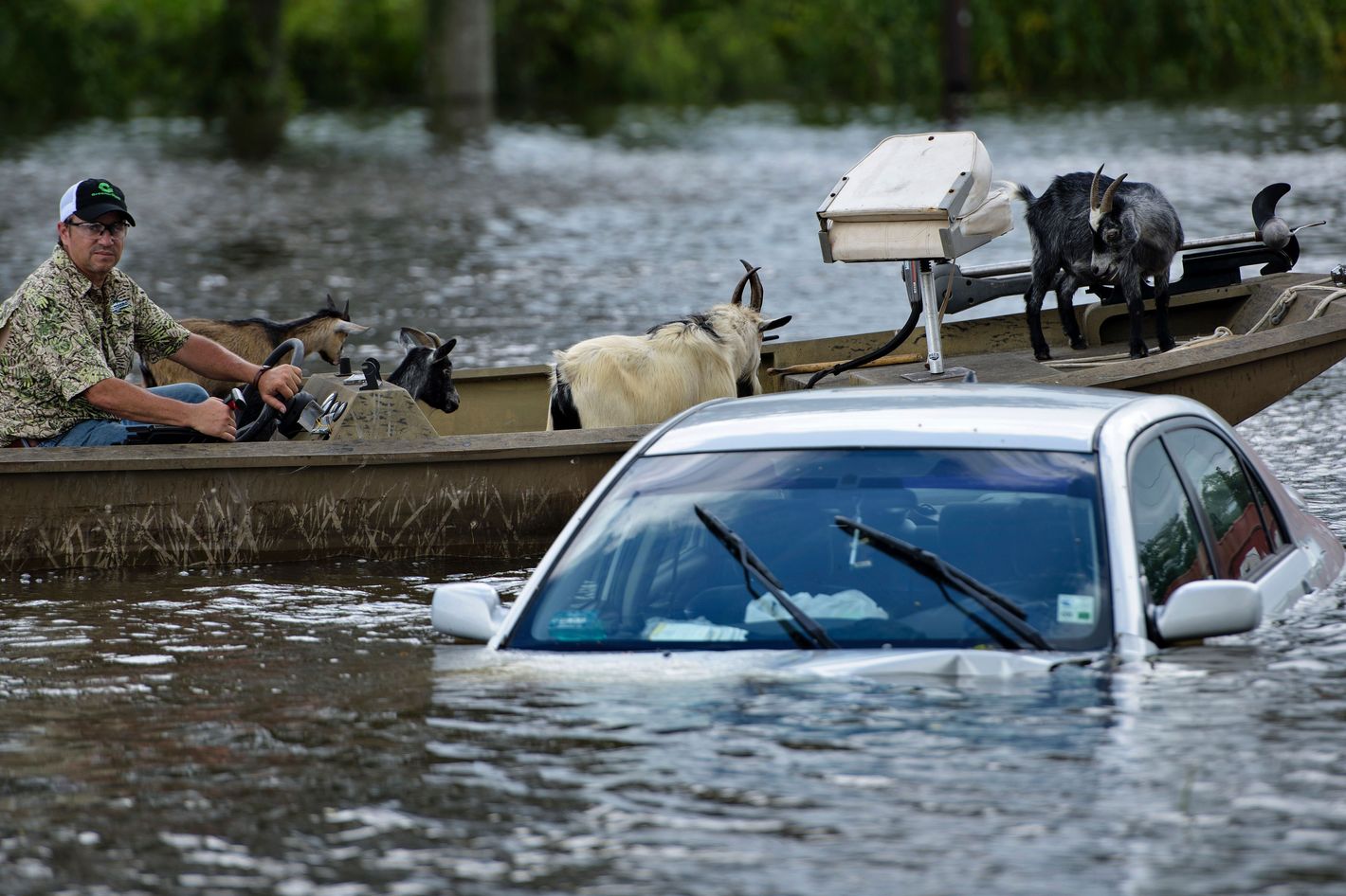 French lick flooding pictures