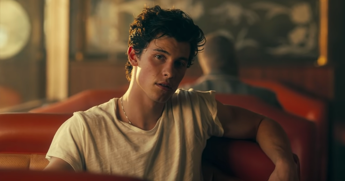 Watch Shawn Mendes Camila Cabello in Señorita Music Video