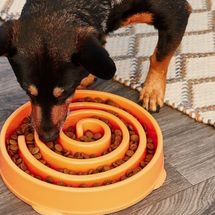 Outward Hound Fun Feeder Interactive Dog Bowl