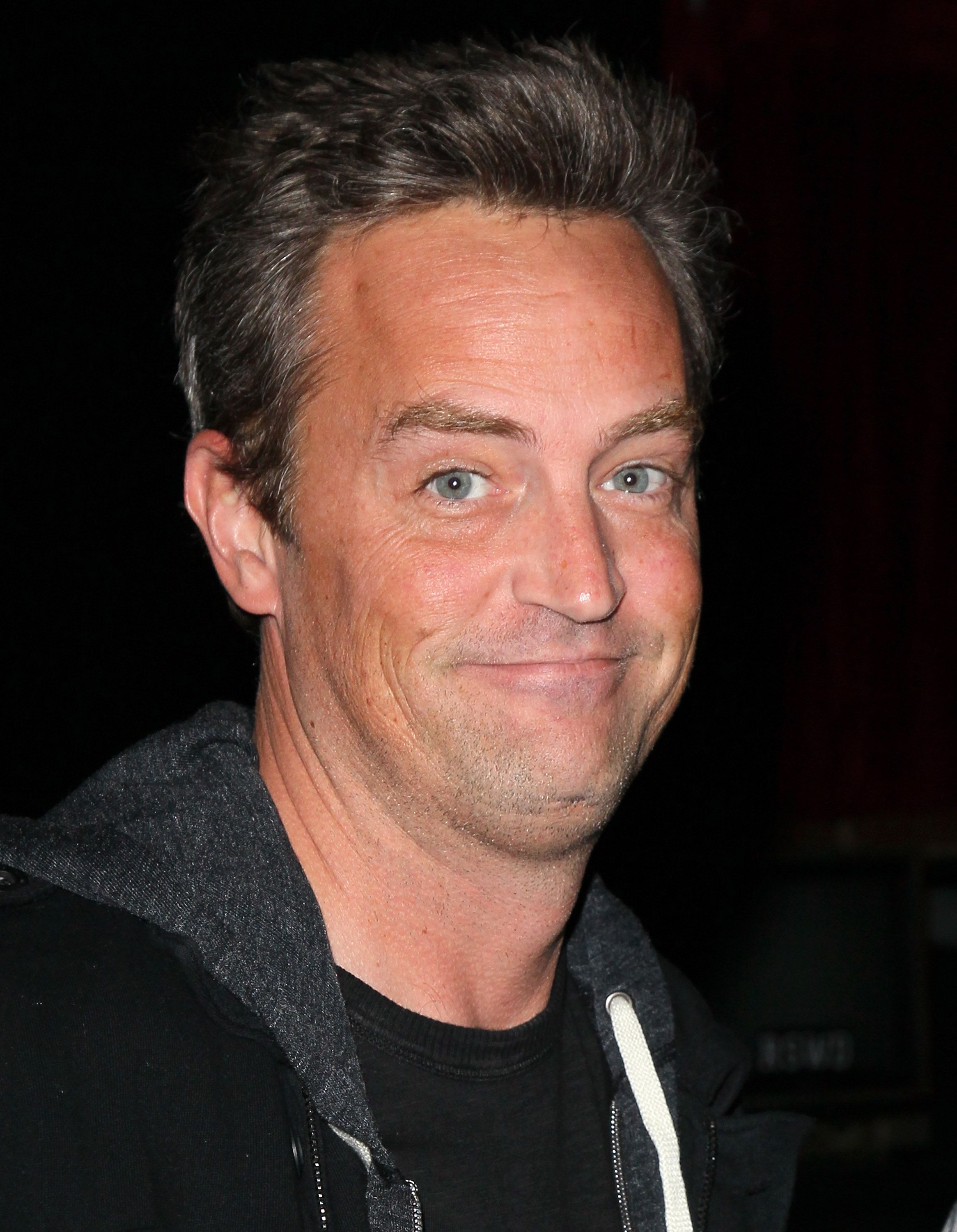 Matthew Perry Cast On The Good Wife