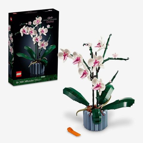 LEGO The Botanical Collection Orchid