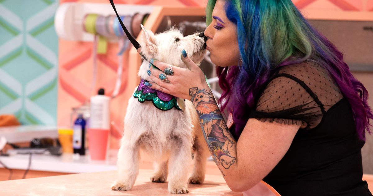 What Dog Reality TV Show Would Win Best in Show?