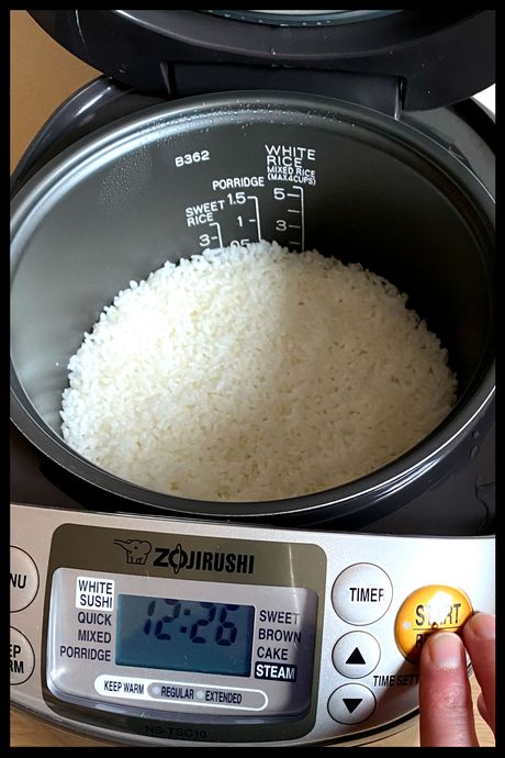 9 Best Rice Cookers 2024 | The Strategist