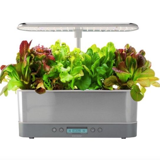 AeroGarden Harvest Elite Heirloom Salad