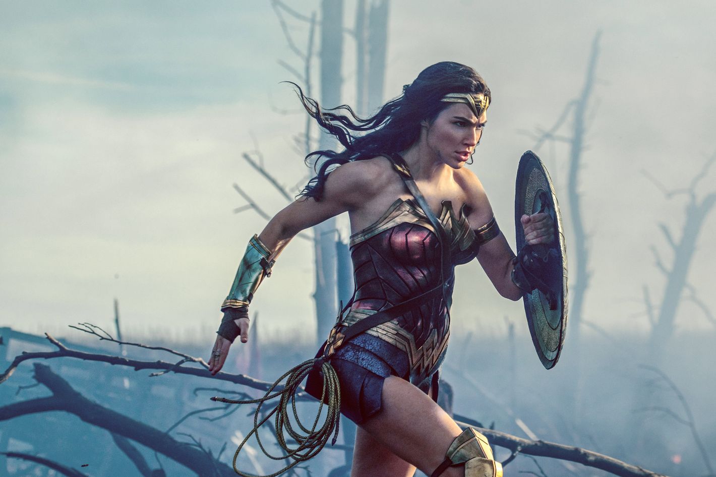 Centro de niños Cubeta científico Wonder Woman' Movie Review: A Star Turn for Gal Gadot