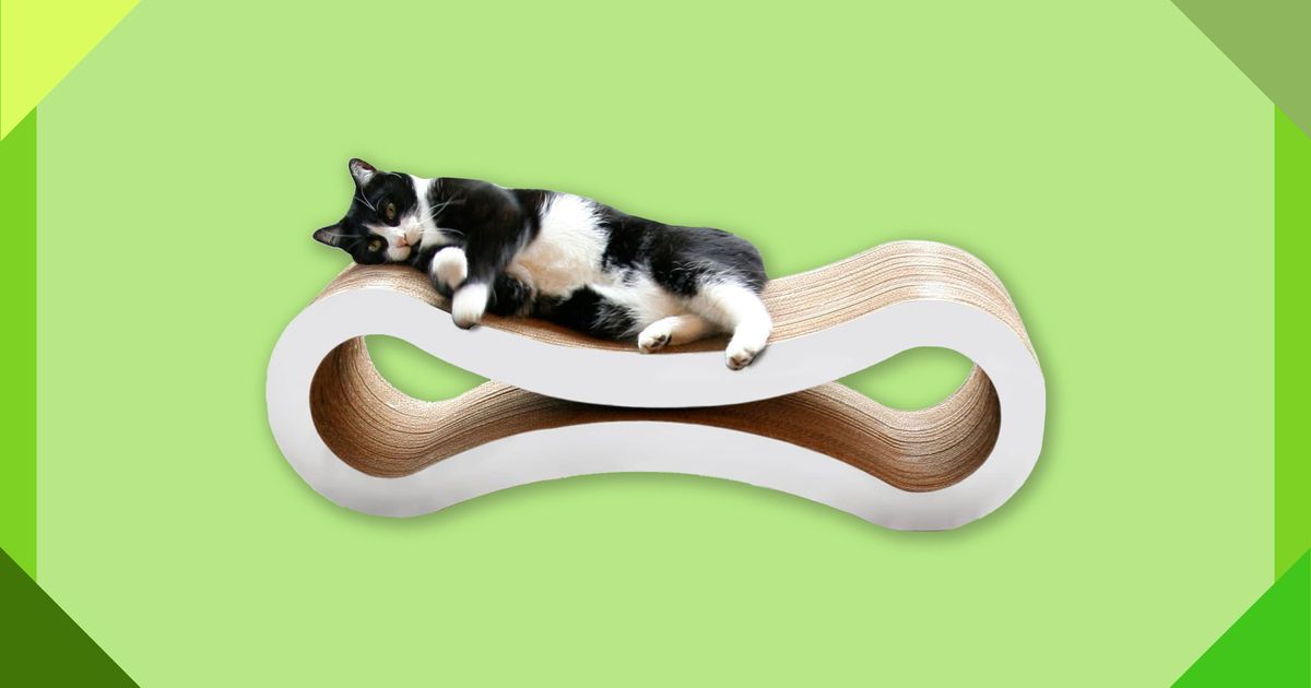 70 Best Gifts for Cat Lovers 2023