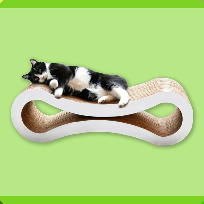 cats laser pointer stairs clipart