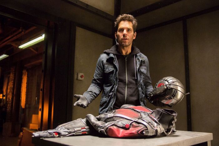 Honestly, what is the Quantum Realm really?