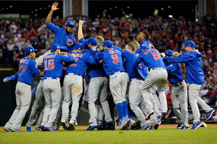 Chicago Cubs Unsigned 2016 World Series Celebration Photograph