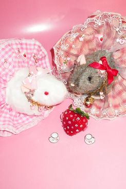 Objects People Crave “STRAWBERRY PRINCESS” Deco-Rat! D.I.Y. Kit