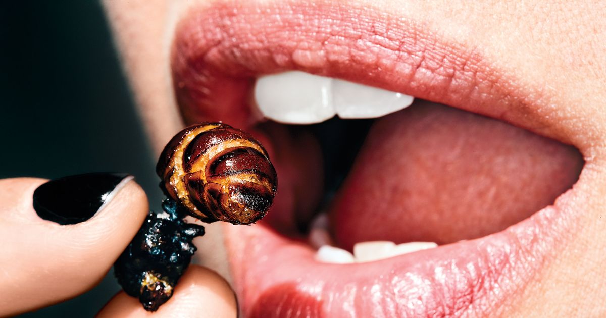 Edible Insects Are the Food of the Future