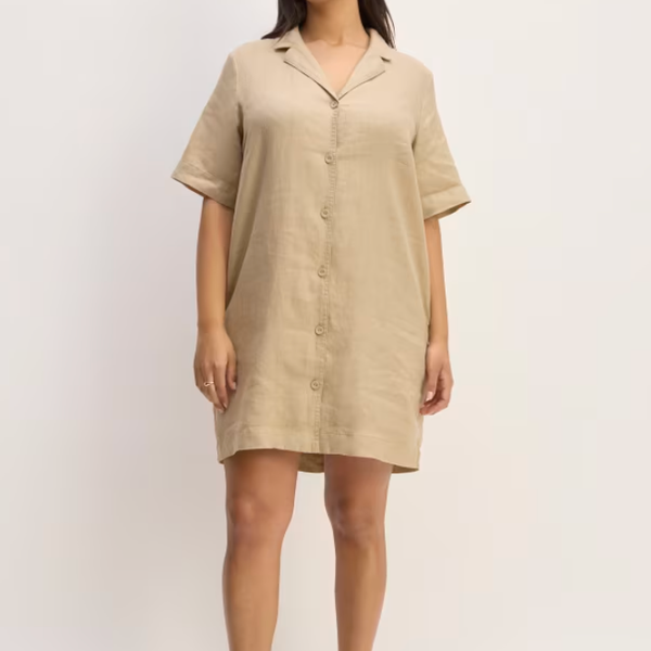 Everlane The Linen Shirt Dress