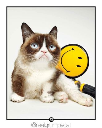 Grumpy Cat Modeled a Smiley-Face Bag for Lucky