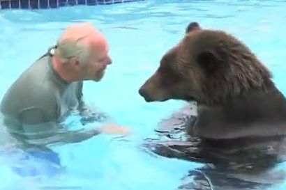 Billy the grizzly bear plays pool, goes to the pub and watches TV - Mirror  Online