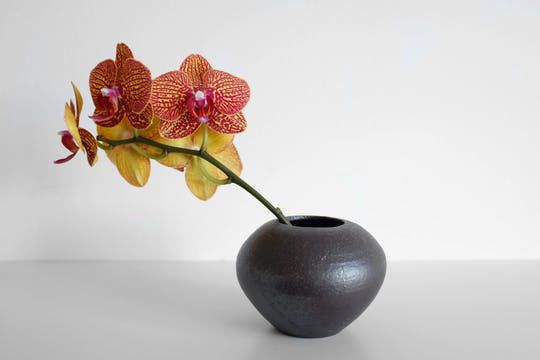 Larsen & Lund Vase