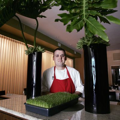 The chef, at his restaurant Moto in 2007.