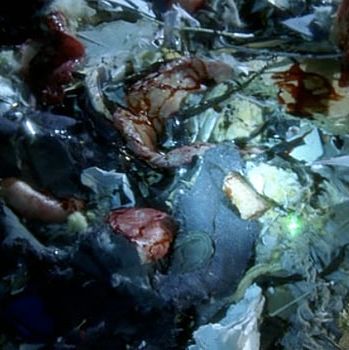The Crime: This is a body that found its way into the back of a dump truck, and was then shredded. Bicycle bits and what looks like some gallbladder can be seen in the image. Gruesome Factor: 4. The CBS procedurals have a "grittier" vibe than the more light-hearted Bones and Castle
(which both appear multiple times on the rest of this list), and yet they don't have
as much fun with their corpses. If this were a crime on Bones, this would look like slide number four.