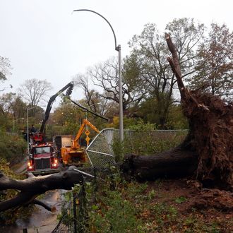 Workers clear a downed tree blocking East 96th street in Central Park the morning after Hurricane Sandy on October 30, 2012 in New York City. The storm has claimed at least 16 lives in the United States, and has caused massive flooding across much of the Atlantic seaboard. US President Barack Obama has declared the situation a 'major disaster' for large areas of the US East Coast including New York City.