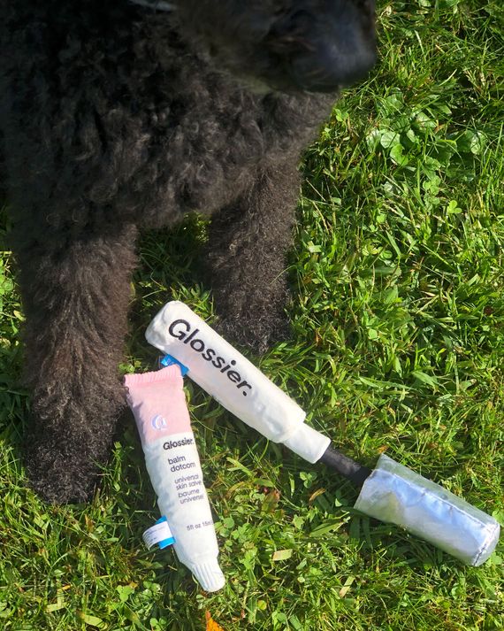 glossier dog toys ebay