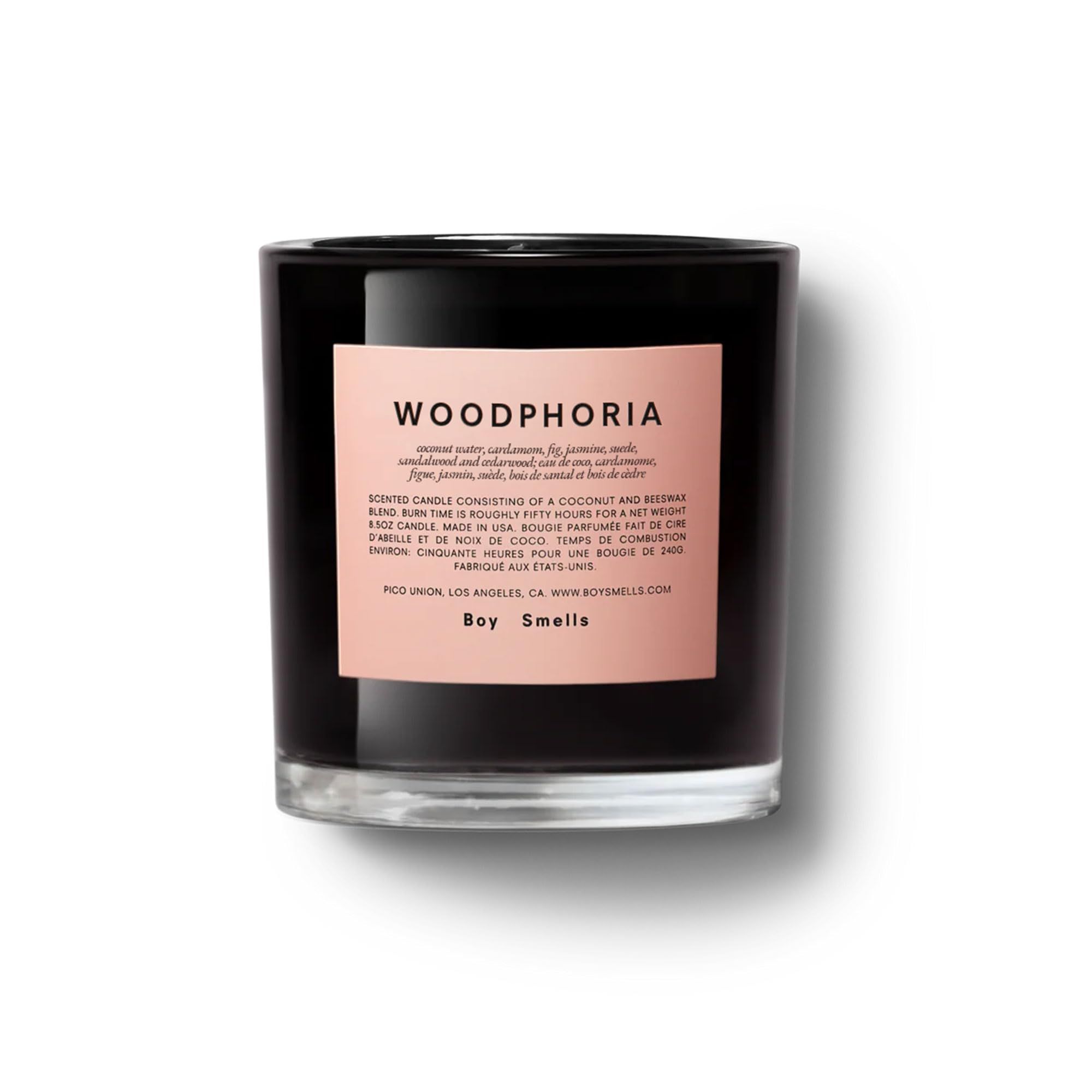 Boy 2019 Amazon Prime Watch Honey Boy Free Online Boy Smells