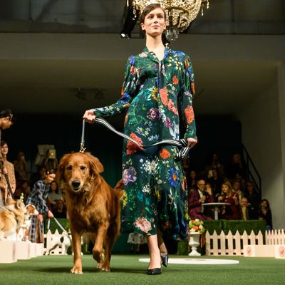 Fashion Week Poems: The Dogs at Lela Rose