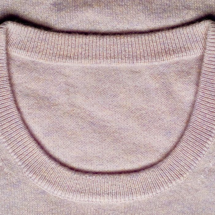 TikTok found a $32 sweatshirt that's super similar to a pricey
