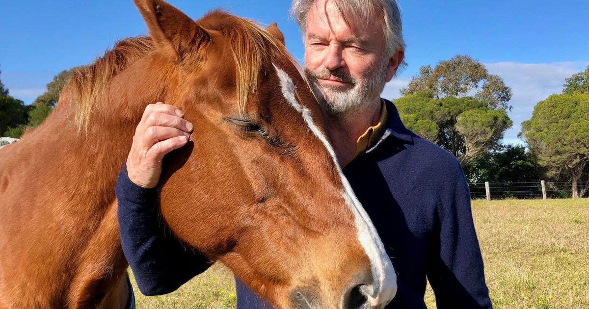 山姆·尼爾（Sam Neill）在農場上的生活：角質公羊，鴨子的兒子和殺人雪貂