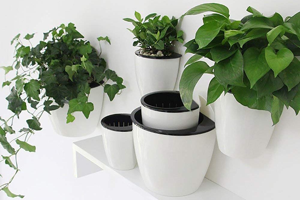 Self-Watering Plant Flower Pot Wall Hanging Plastic Planter House Offices Garden 