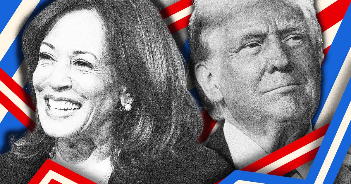 Recent Trump-Harris polls show it’s getting to the point