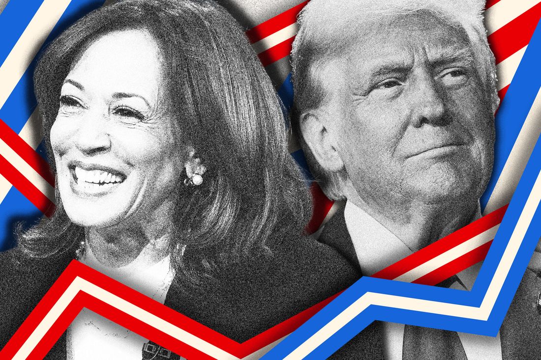 Final Trump vs. Harris Polls Show It’s Down to the Wire