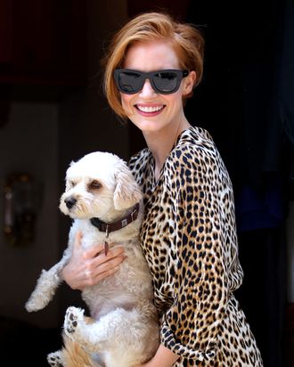 Actress Jessica Chastain, wearing a leopard print summer dress with flats, shows off her dog named Chaplin on the set of 'The Disappearance of Eleanor Rigby: His' in Chelsea in New York City. Jessica changes in a midnight blue top (and gets a little perky) with black jeans.