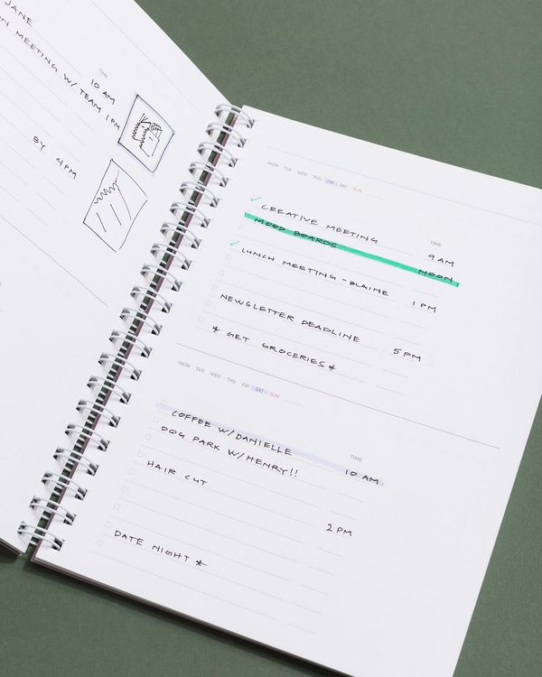 Non-dated Details about   The Day's Mood Undated Monthly Daily Diary Tracking Number Planner 