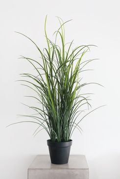 Afloral UV Treated Outdoor Potted Grass Plant - 38