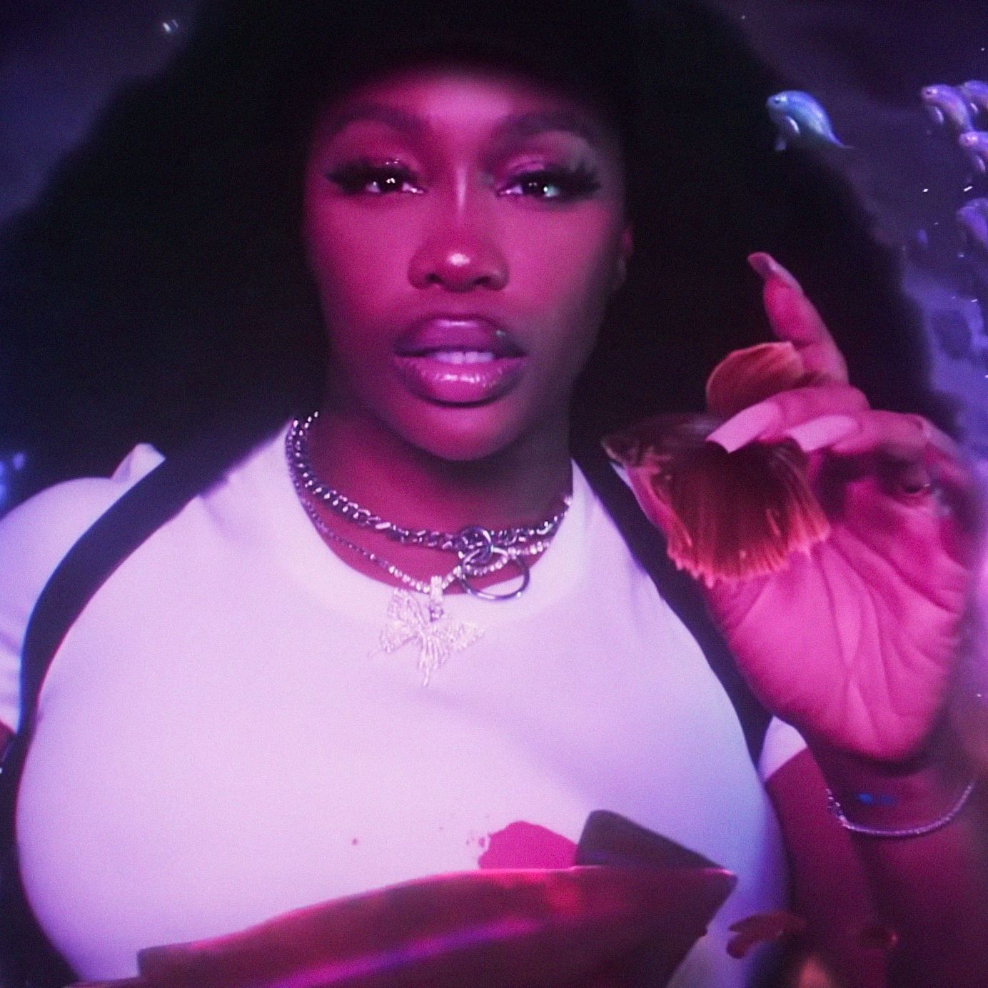 Sza At Superbowl