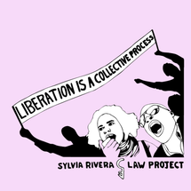 Sylvia Rivera Law Project