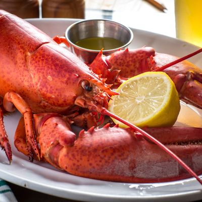Lobster, straight out of a tank, costs $11 per pound.