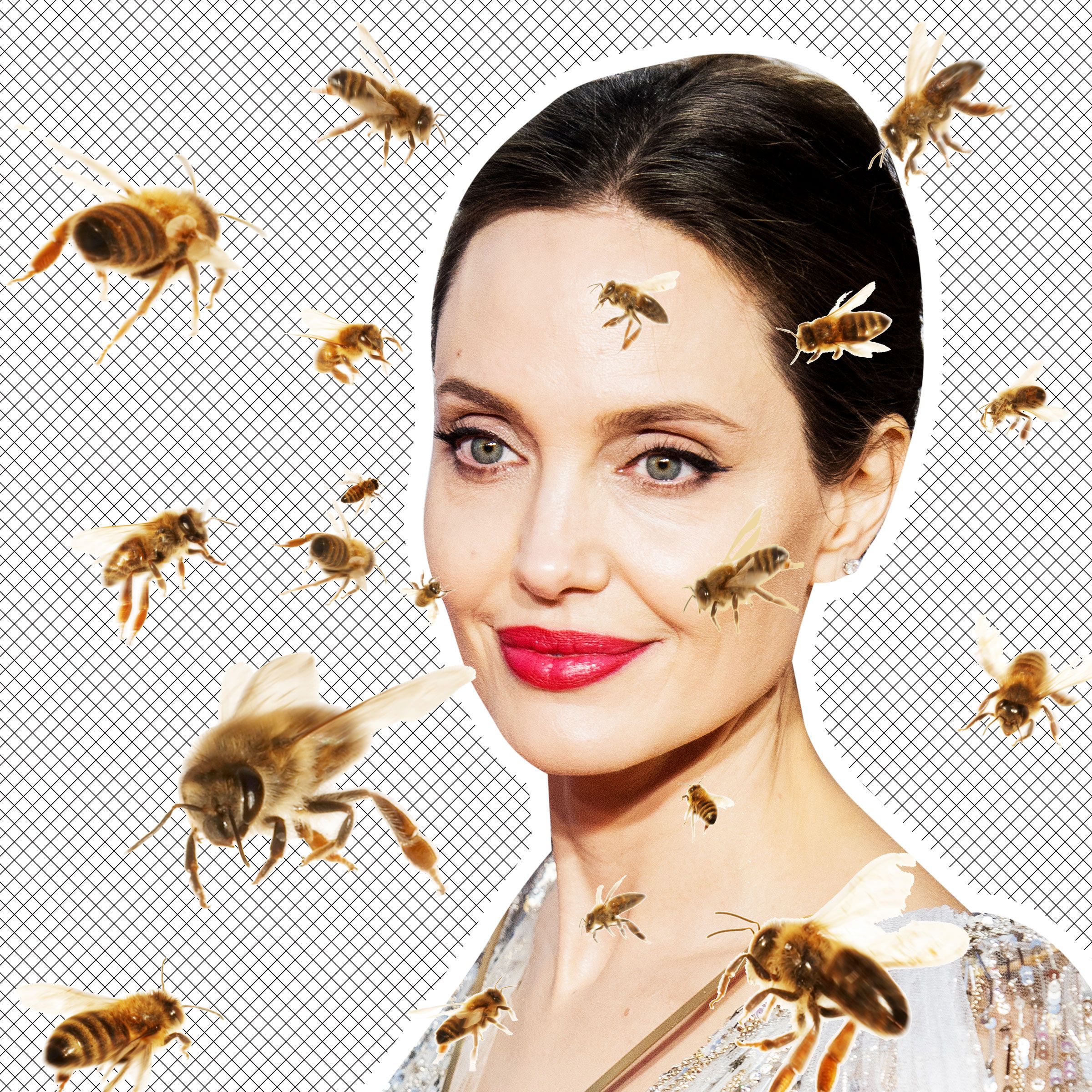 Angelina Jolie bee picture among Siena International Photo Award