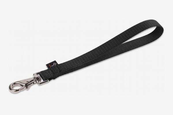 25 Best Dog Leashes 2021 