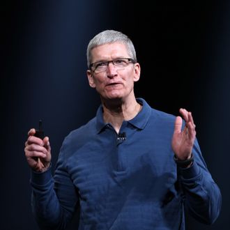 Apple CEO Tim Cook speaks during Apple's special event at the California Theatre in San Jose on October 23, 2012 in California. Apple unveiled a smaller version of its hot-selling iPad on Tuesday, jumping into the market for smaller tablet computers dominated by Amazon, Google, and Samsung. The iPad mini's touchscreen measures 7.9 inches (20cm) diagonally compared to 9.7 inches(24.6cm) on the original iPad. AFP PHOTO/ Kimihiro Hoshino (Photo credit should read KIMIHIRO HOSHINO/AFP/Getty Images)