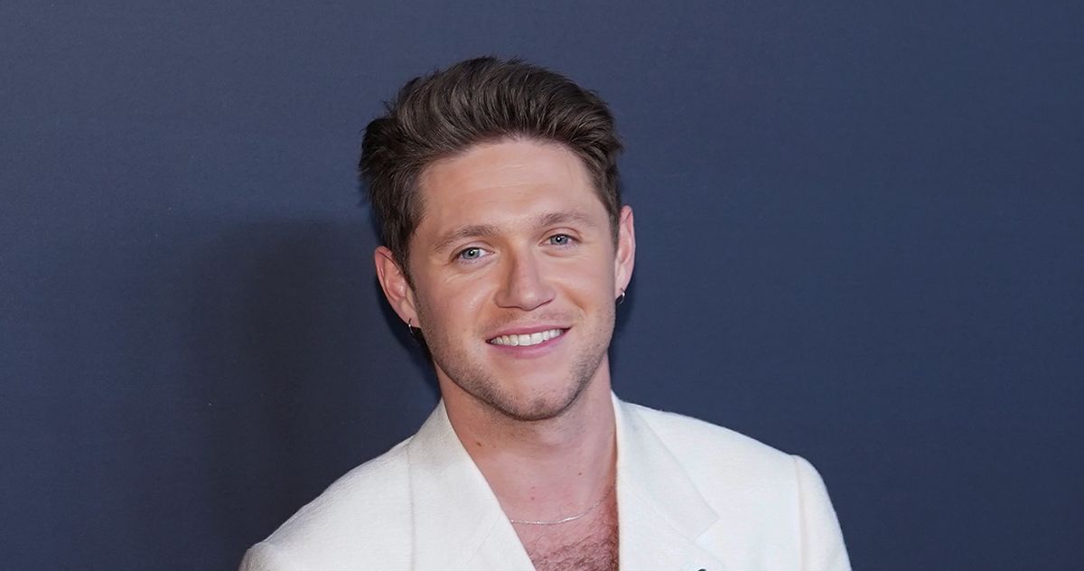 Niall Horan Fulfilled a Fan’s 2022 MSG Prophecy