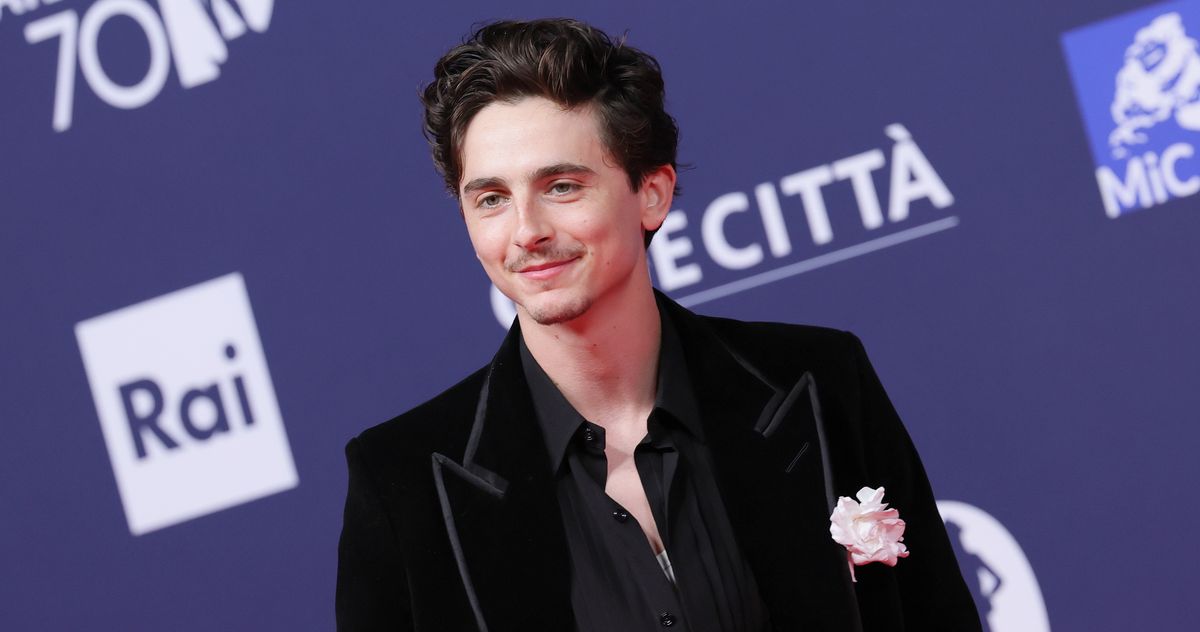 Timothee Chalamet Won't Do TV Ever Again