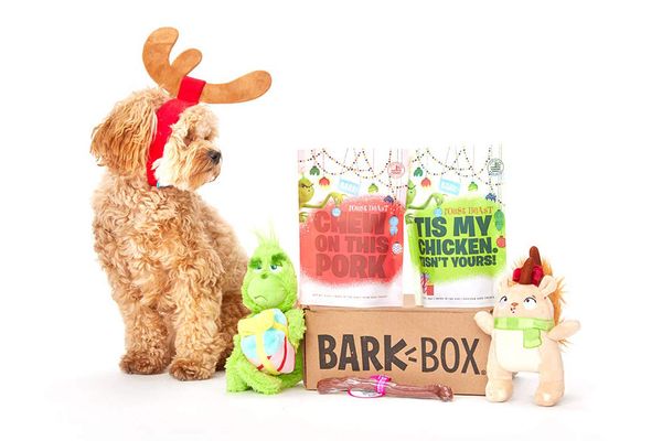 BarkBox and Super Chewer Grinch Holiday Limited-Edition Gift Assortment