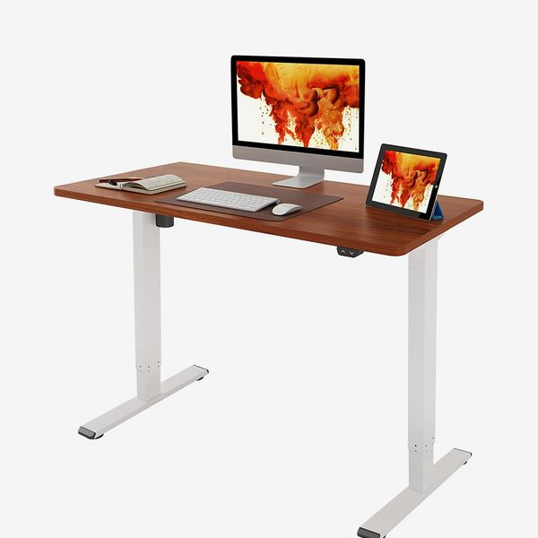 Flexispot EC1 Electric White Standing Desk Adjustable Height Desk