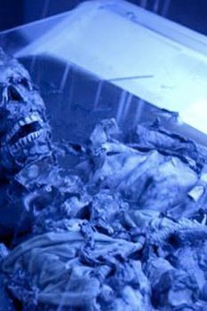 The Crime: A woman cooks to death in her tanning bed and then decomposes. Her right arm, which you can't see, looks normal because it was hanging out of the bed. Gruesome Factor:
7, but a little less gross than what's next because it has nothing to do with food.