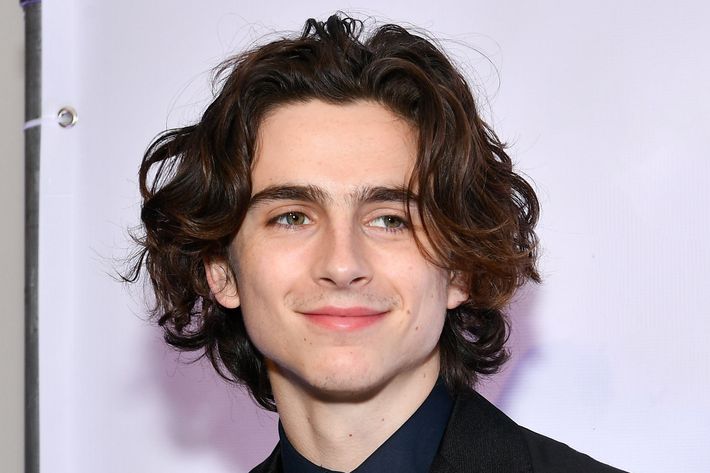 Timothee Chalamet Haircut Tutorial - TheSalonGuy - YouTube