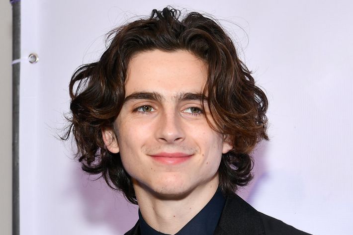 Timothée Chalamet  Timothee chalamet, Haircuts for men, Hairstyle