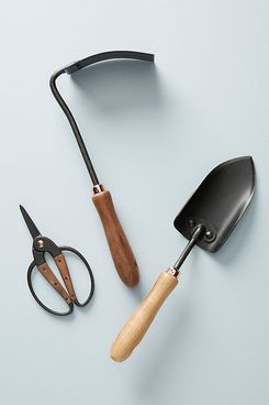 Essential Gardening Tools