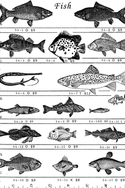 Casey Rubber Stamps Fish Stamps