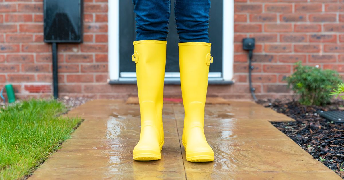 Protek calf rain boots